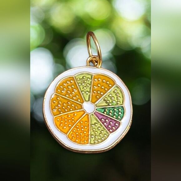 Seaglasscoaztallemonades.com Jewelry - Citrus Slice Enamel Pendant